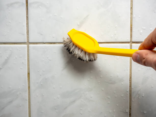 Best Mold Testing  in Fort Madison, IA