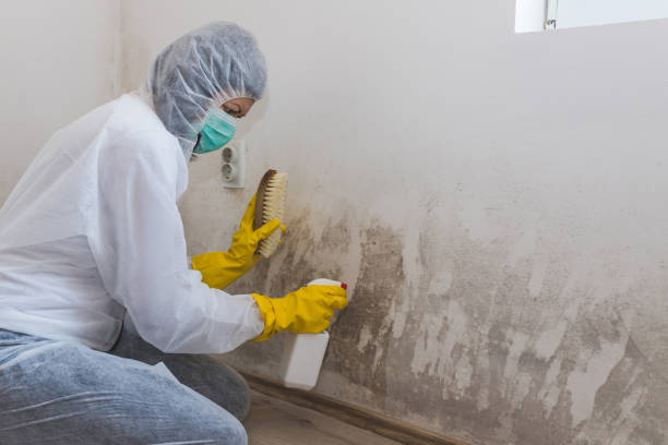 Best Crawl Space Mold Removal  in Fort Madison, IA