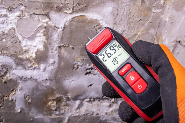 Best Emergency Mold Removal  in Fort Madison, IA
