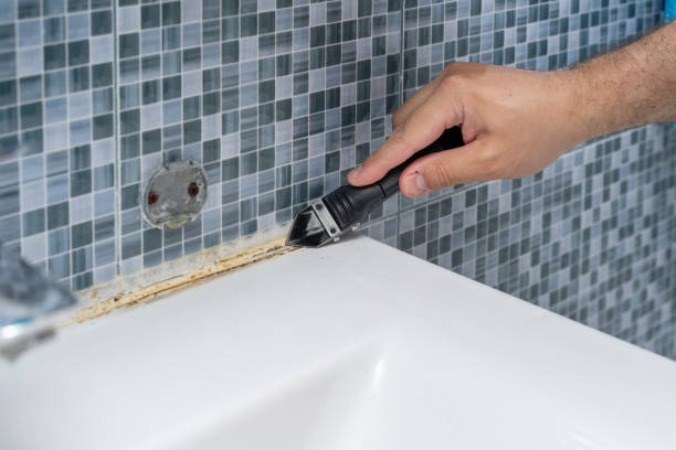 Fort Madison, IA Mold Removal Company